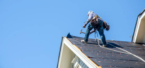 Best Storm Damage Roof Repair  in Daphne, AL